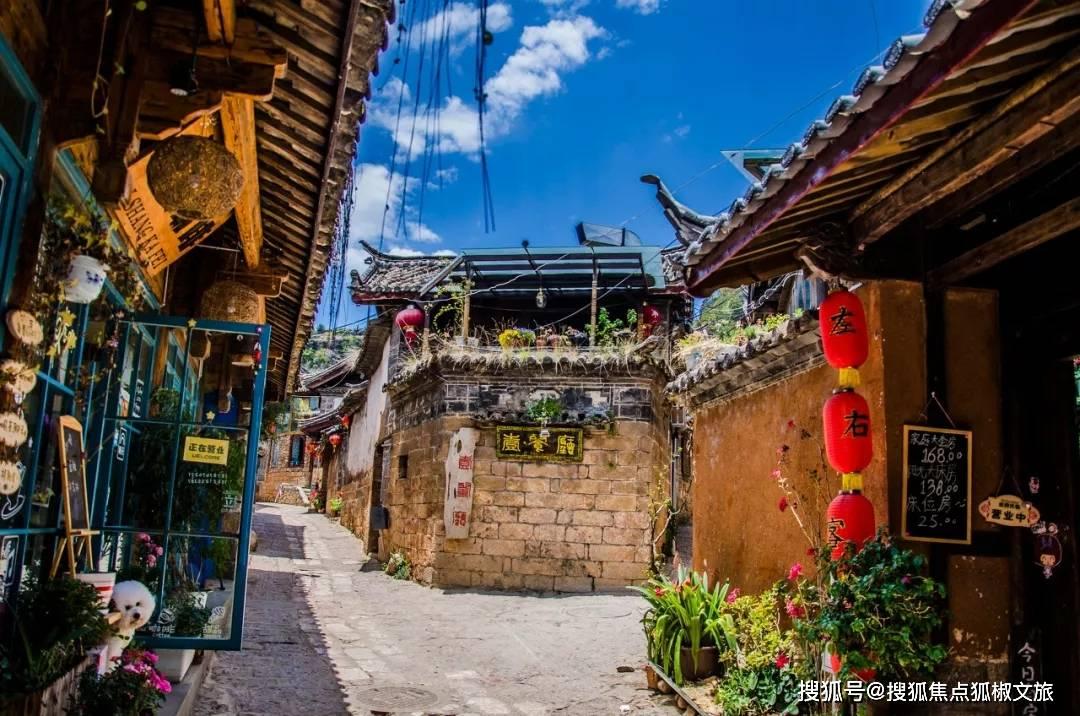 杀出重围人类分裂